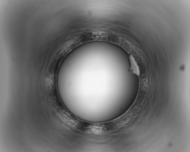 X0000099440756200805161133
