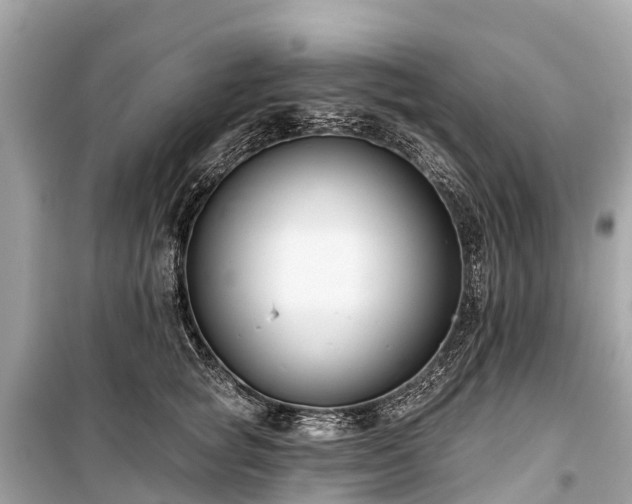 X0000099440757200805161133