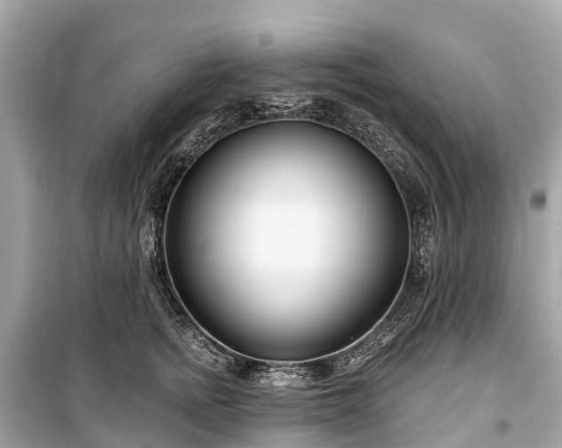 X0000099440758200805161133