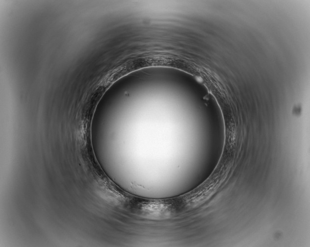 X0000099440759200805161134