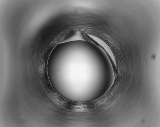 X0000099440760200805161134