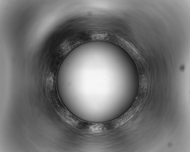 X0000099440761200805161134