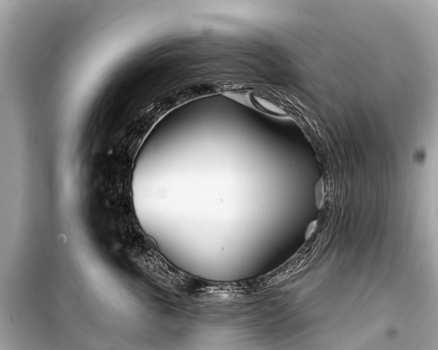 X0000099440763200805161134