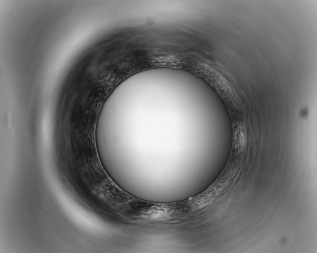 X0000099440764200805161134