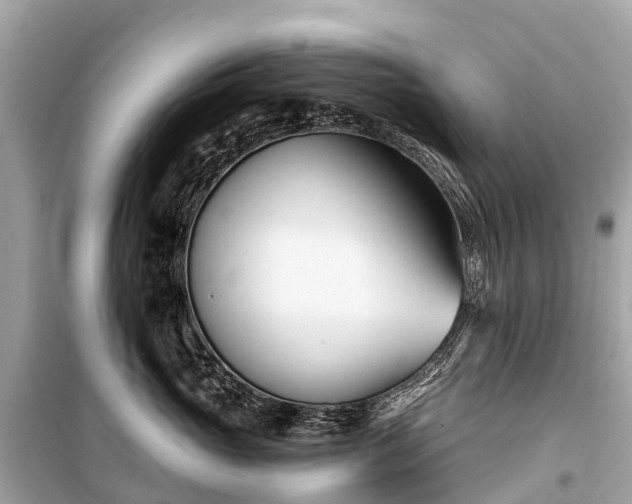 X0000099440765200805161134