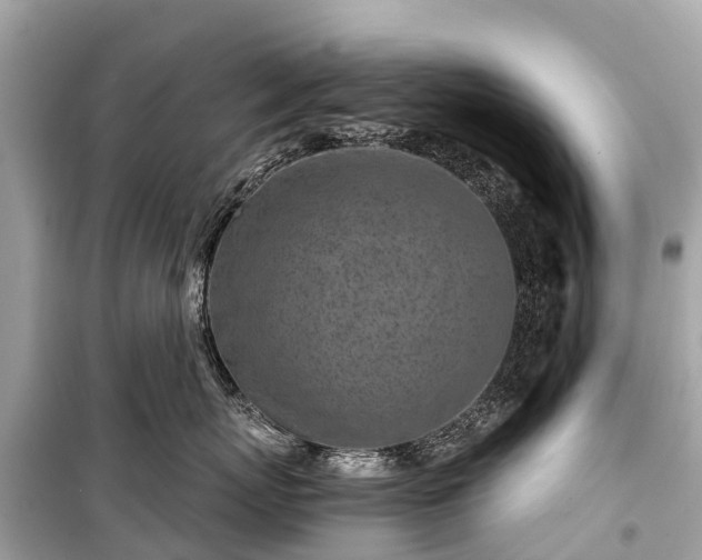 X0000099440767200805161134