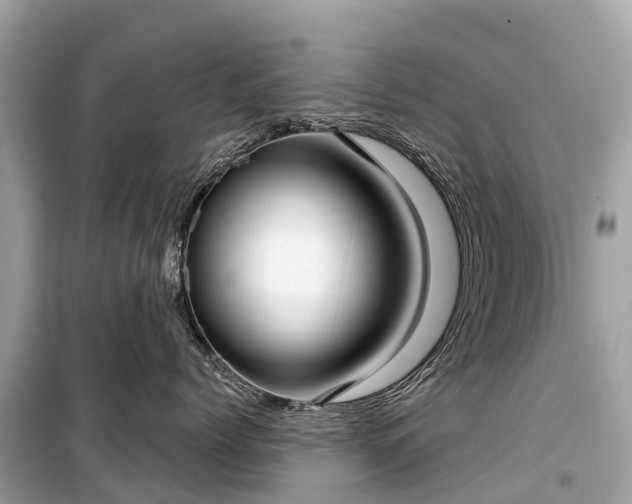 X0000099440768200805161134