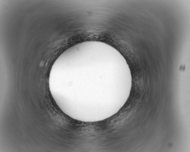 X0000099440769200805161133