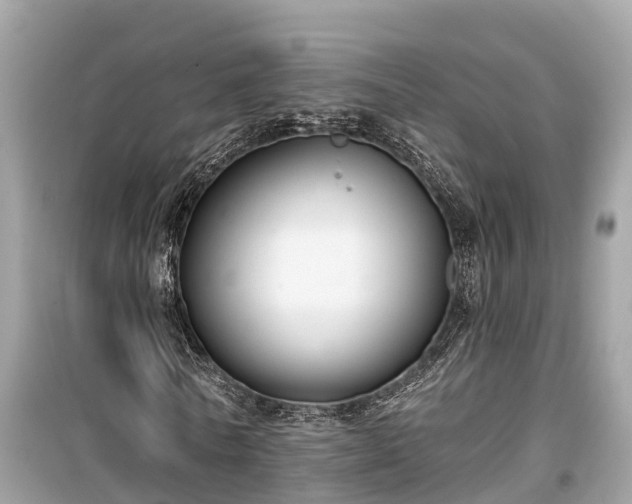 X0000099440770200805161133