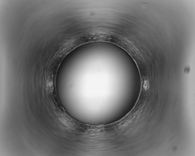 X0000099440771200805161133