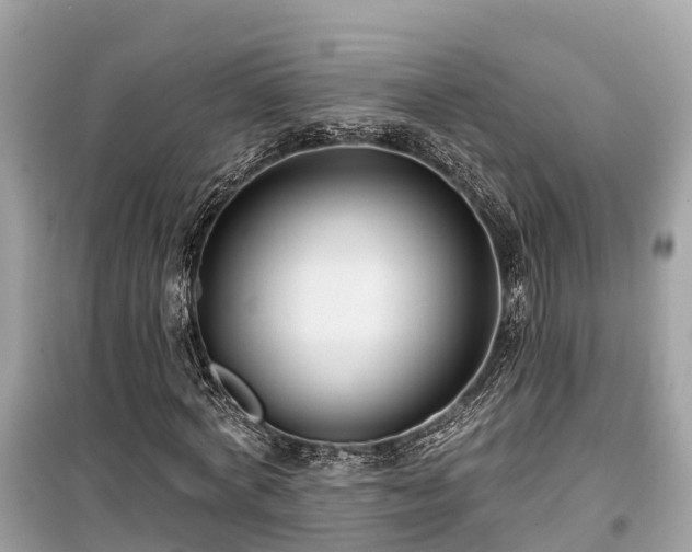 X0000099440772200805161133