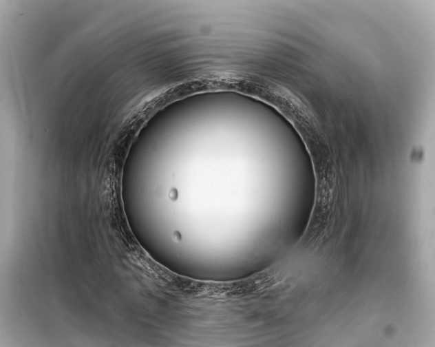 X0000099440773200805161133