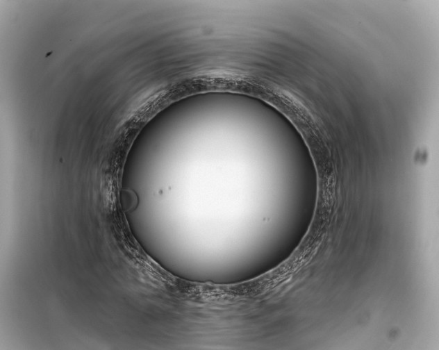X0000099440774200805161133