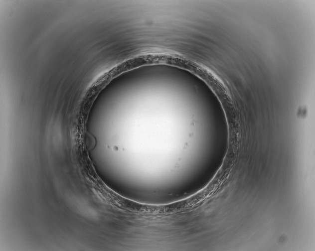 X0000099440775200805161133