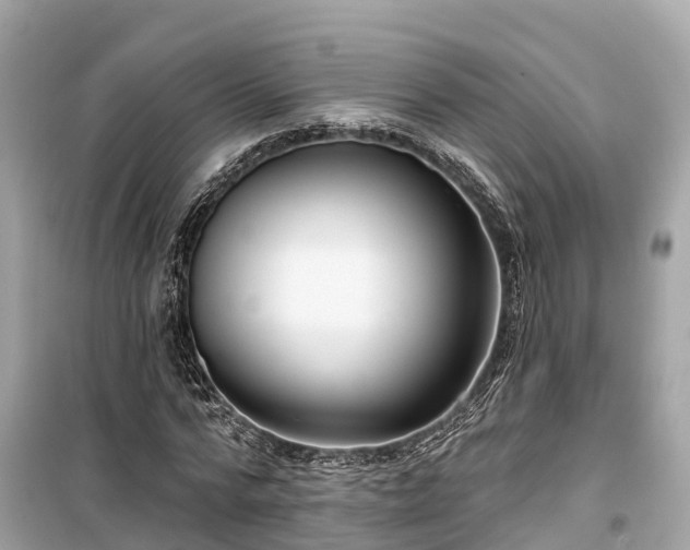 X0000099440776200805161133