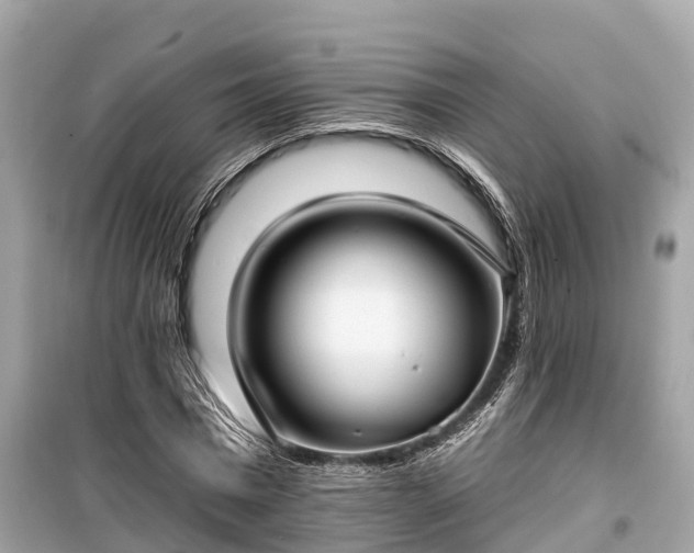 X0000099440777200805161133
