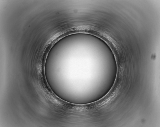 X0000099440778200805161133