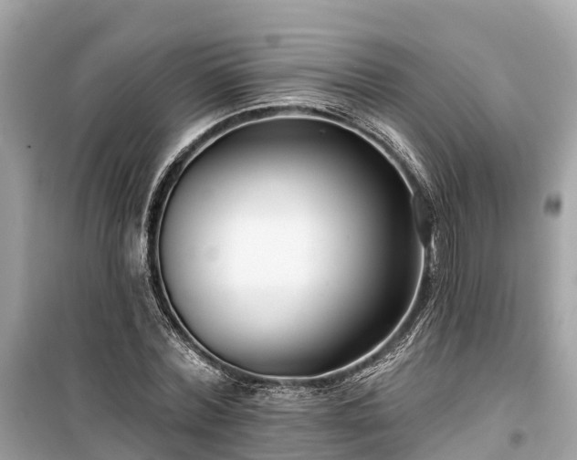 X0000099440780200805161133