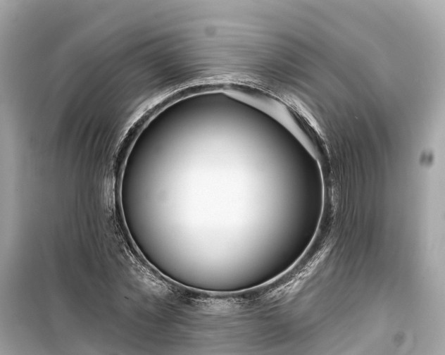 X0000099440781200805161133