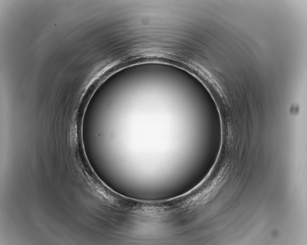X0000099440782200805161133