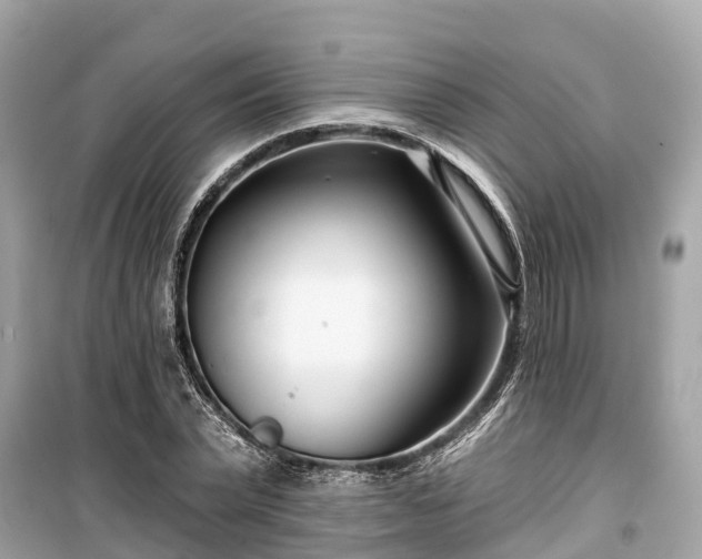 X0000099440783200805161133