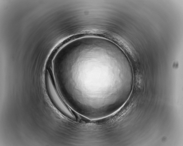 X0000099440784200805161132