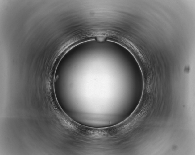 X0000099440786200805161132