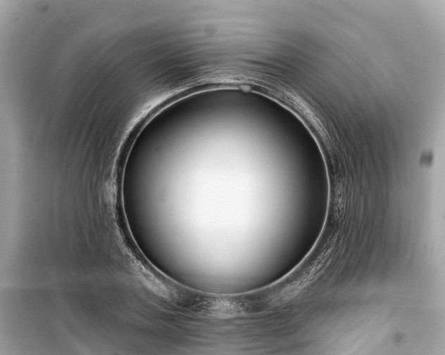 X0000099440787200805161132