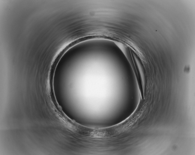 X0000099440788200805161132