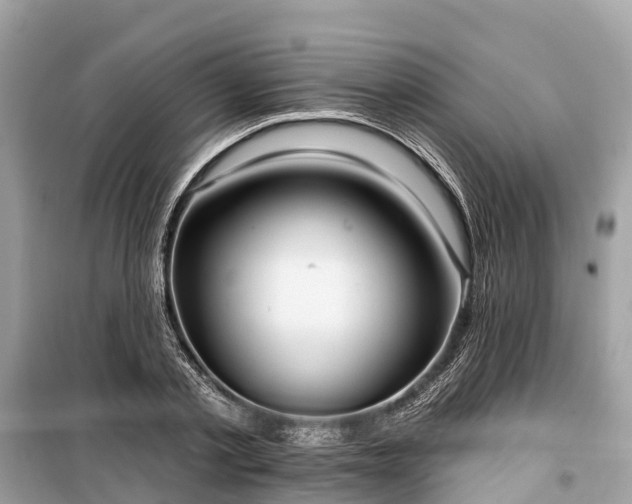 X0000099440789200805161132