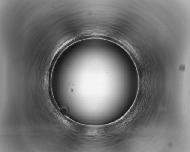X0000099440790200805161132