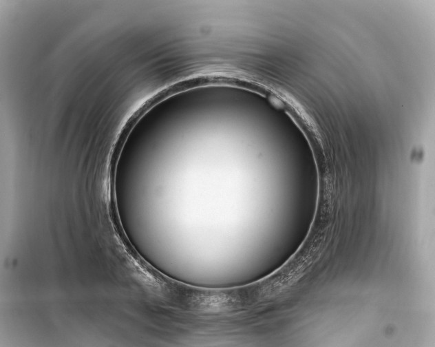 X0000099440791200805161132