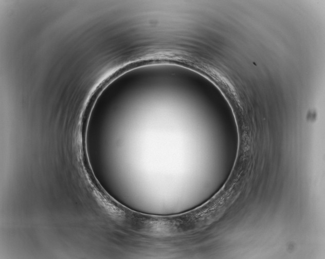 X0000099440792200805161132