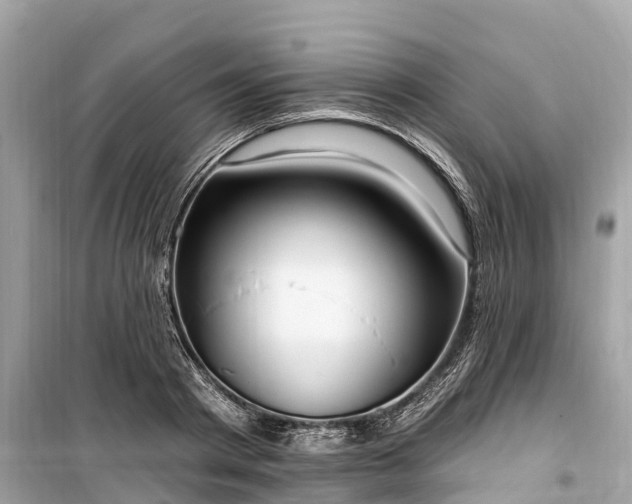X0000099440793200805161132
