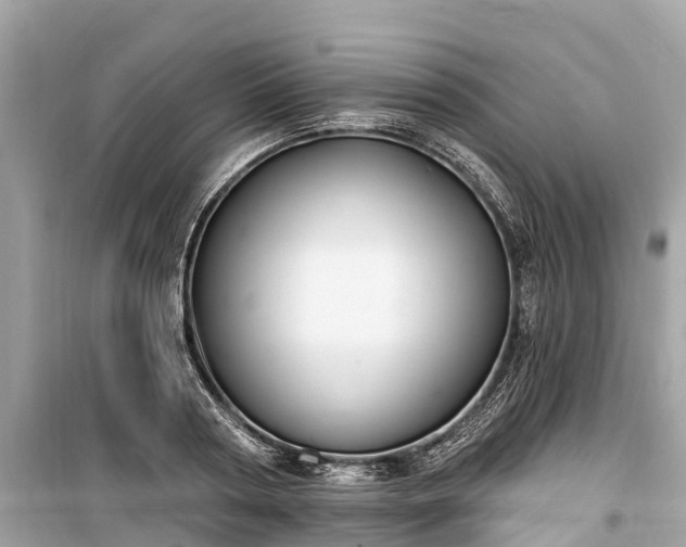 X0000099440794200805161132