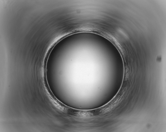 X0000099440795200805161132