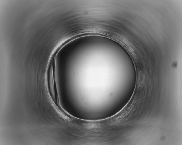 X0000099440796200805161132