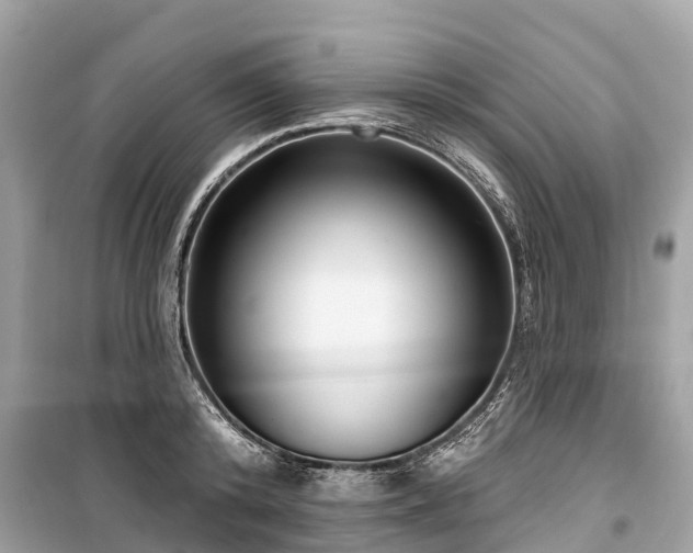 X0000099440800200805161132
