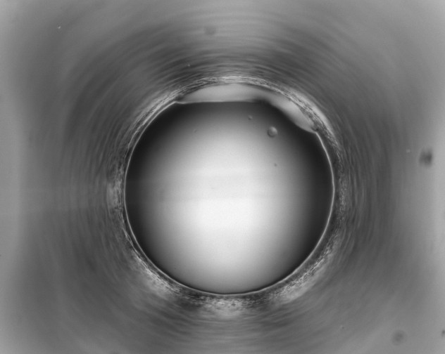 X0000099440801200805161132