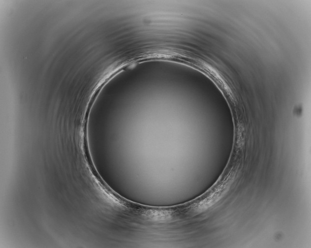 X0000099440802200805161132