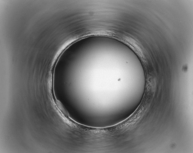X0000099440804200805161132