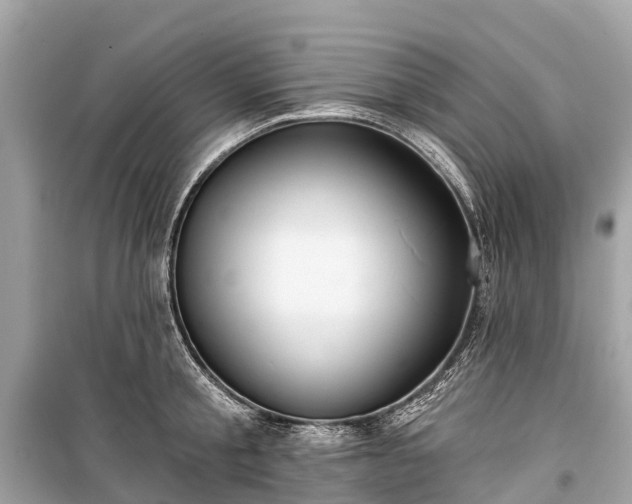 X0000099440805200805161132