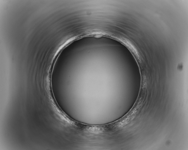 X0000099440806200805161132