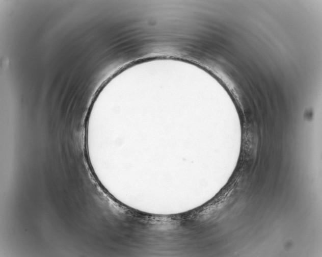 X0000099440807200805161132