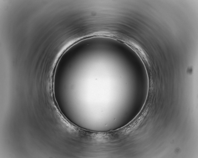 X0000099440808200805161132