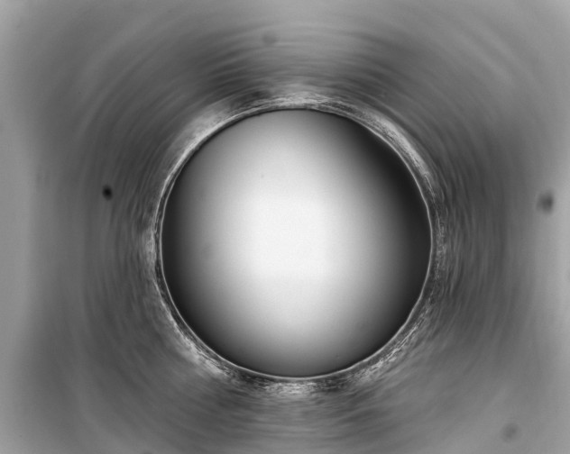 X0000099440810200805161132