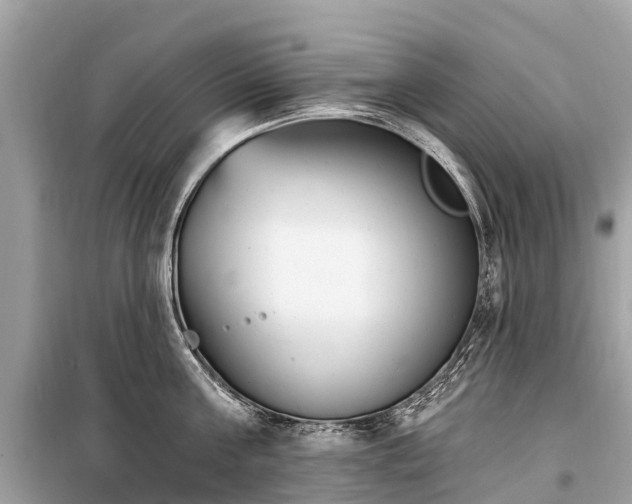 X0000099440811200805161132