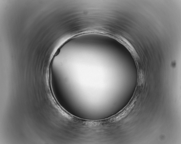 X0000099440812200805161132
