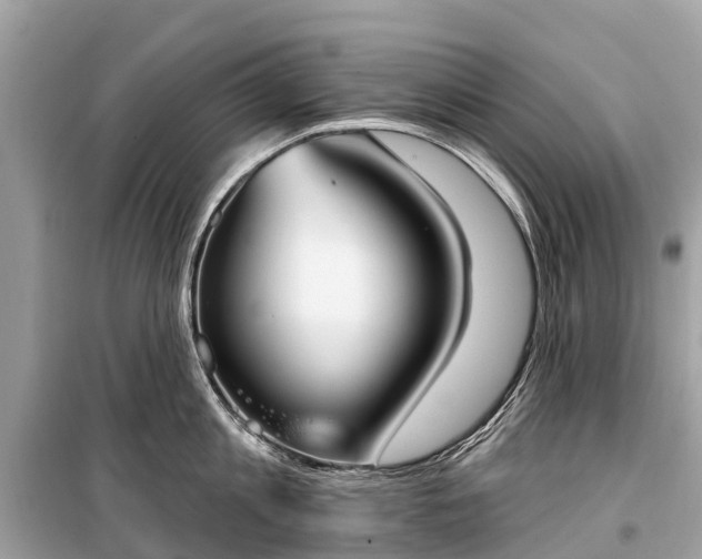 X0000099440813200805161132