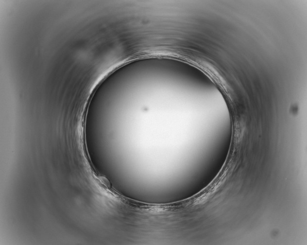 X0000099440814200805161132